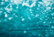 Clean water is so important underwater photography of water bubbles