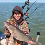 Lake Erie fish survey finds walleye hatches down fish hatch