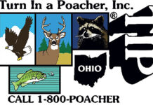 Teaching the right way