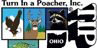 Teaching the right way