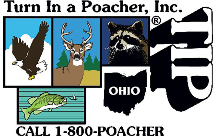 horizontal info graphic-WEB