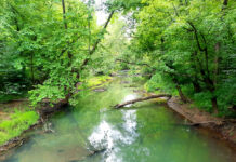 Raccoon Creek named state scenic river raccoon creek