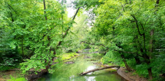 Raccoon Creek named state scenic river raccoon creek