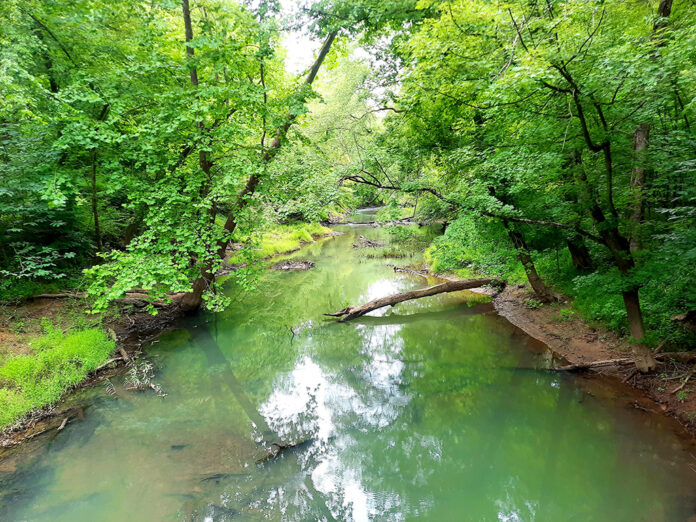 raccoon creek raccoon creek