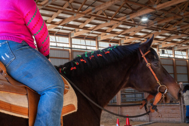 Ugly Christmas Sweater Horse Show