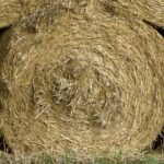 round hay bales