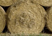 Safeguard winter hay quality round hay bales