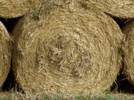 round hay bales