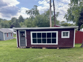 The restoration of the chicken house: Part one chicken coop