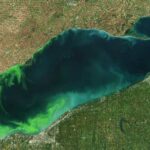 Algal blooms are a growing problem in Lake Erie 2015 Algal Bloom