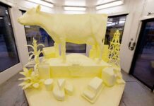 2025 Butter Sculpture