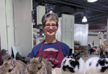 Half Pints Rabbitry breeds unique Netherland Dwarfs Pat Carroll