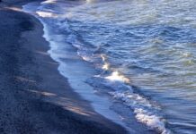 Farmers embrace H2Ohio, but Lake Erie’s algae problem lingers