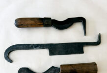 Improving apple varieties was a major endeavor for settlers grafting froes