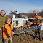 Looking for Brer rabbit rabbit hunt