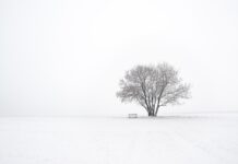 Finding solace and faith on the frozen winter plains snow and tree