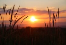 A good and faithful servant has earned his rest and reward sunset