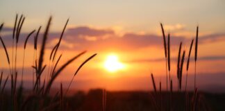 A good and faithful servant has earned his rest and reward sunset