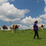 Cold shoulder: With funding frozen, ag conservation projects hang in balance