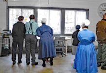 The Great Backyard Bird Count is approaching