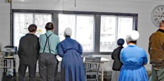 The Great Backyard Bird Count is approaching