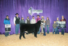 Ohio family raises, shows Black Herefords Nora Birney