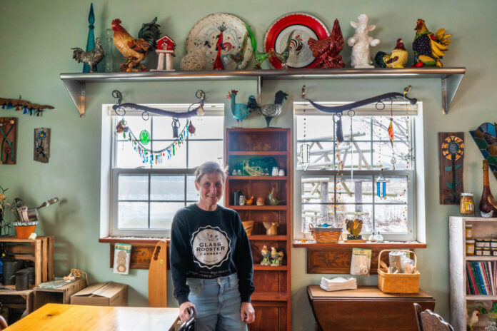 jeannie and roosters Jeannie Seabrook