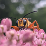 It’s the simple things in life