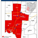 box tree moth quarantine