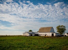 USDA launches new $700 million regenerative ag pilot program