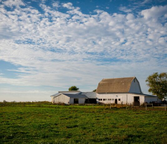 USDA launches new $700 million regenerative ag pilot program