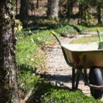 Adventure with a wheelbarrow wheelbarrow