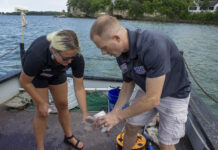 As another harmful algal bloom season looms on Lake Erie, scientists look ahead