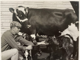 Gordon Schiller Withers Gordon Schiller Withers