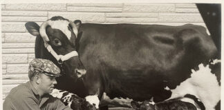 Gordon Schiller Withers