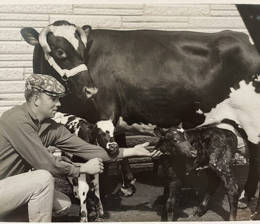 Gordon Schiller Withers Gordon Schiller Withers