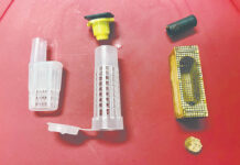 How to introduce new queens to your hive