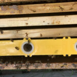 bees in frame feeder