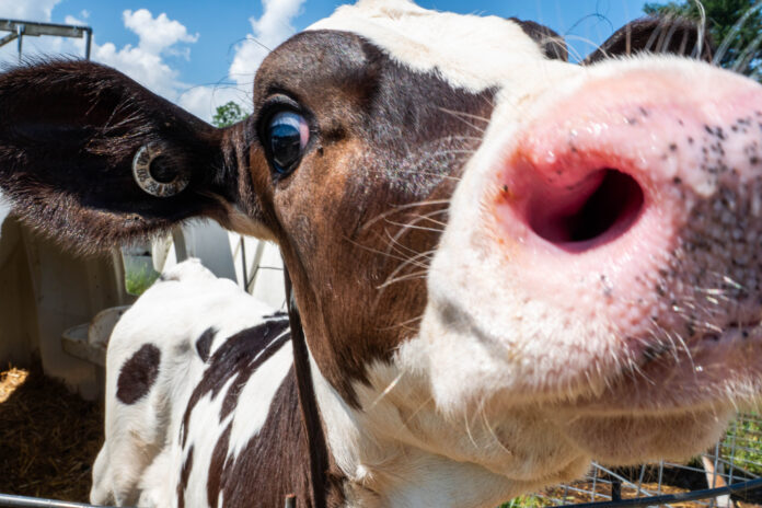 bro is close Vale Wood Farms