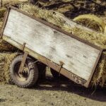 Hauling memories and dreams in a little wagon wagon