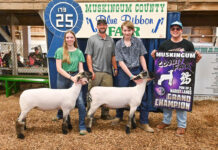 2025 Muskingum County Fair Livestock Sales results