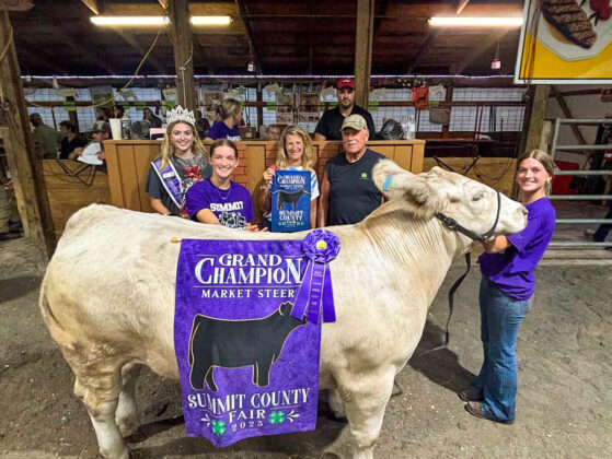 GRAND CHAMPION MARKET STEER: HAILEY YOUNG