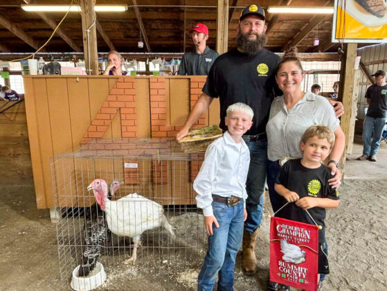 RESERVE CHAMPION MARKET TURKEY: ABBOTT WEAVER