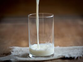 Whole milk could soon be returning to school cafeterias glass of milk