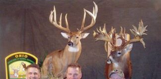 ohio big bucks