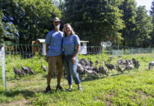 Family turns overgrown Ohio farm into thriving heritage orchard, learning hub