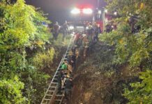 Dozens of calves rescued from overturned trailer after truck crash in central Pennsylvania