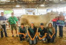 2025 Jefferson County Fair Junior Livestock Sale results