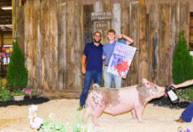 2025 Venango County 4-H Livestock and Cheese Yield Auction results