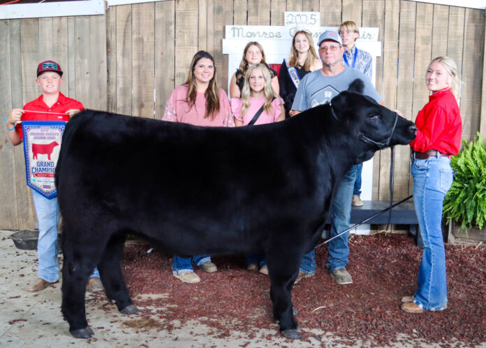 GRAND CHAMPION MARKET BEEF: LEANNA MESSENGER